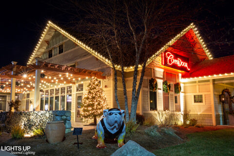 Holiday Lighting