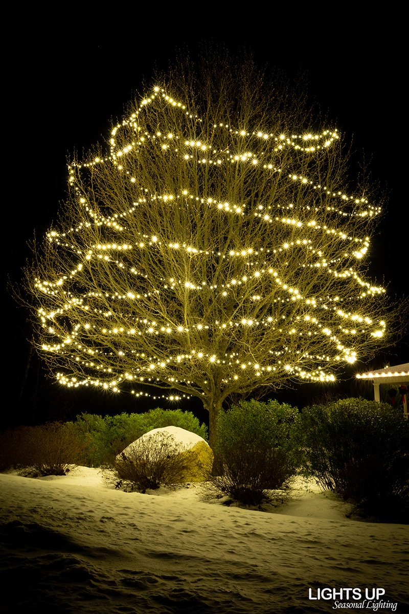 Residential Christmas lighting installation
