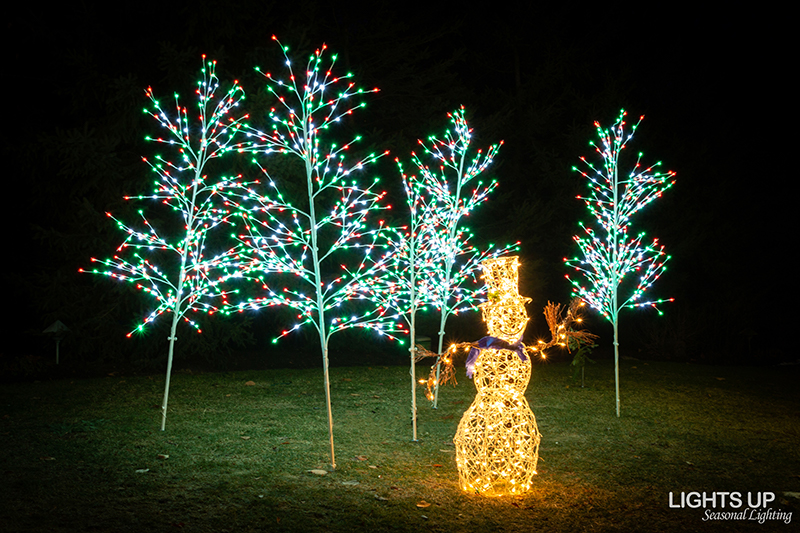 Gilford home Christmas lights