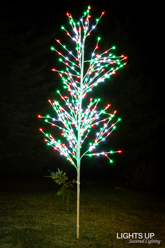 Gilford home Christmas lights