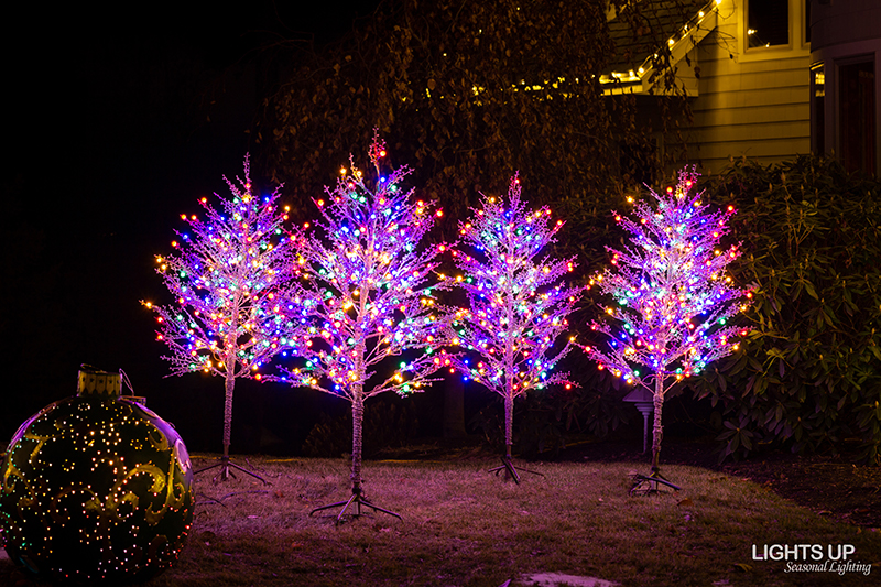 Gilford home Christmas lights