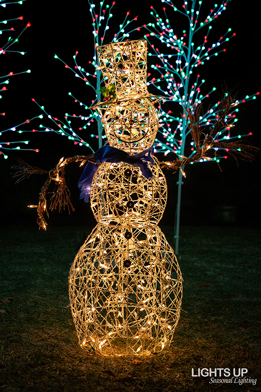 Gilford home Christmas lights