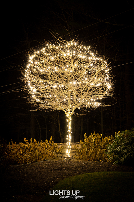 Gilford home Christmas lights