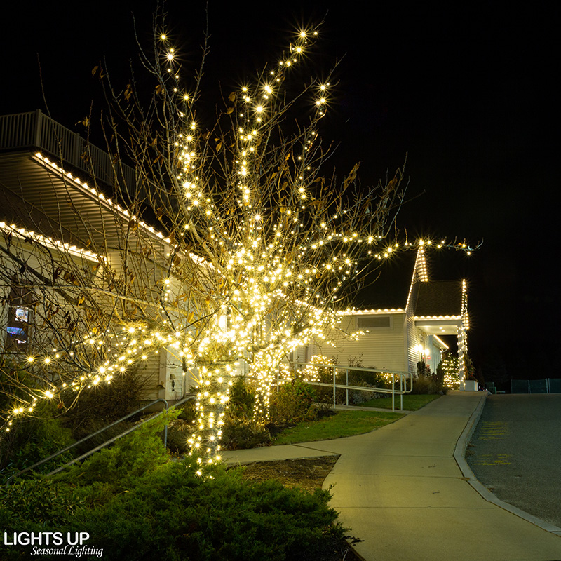 Derryfield commercial Christmas lights