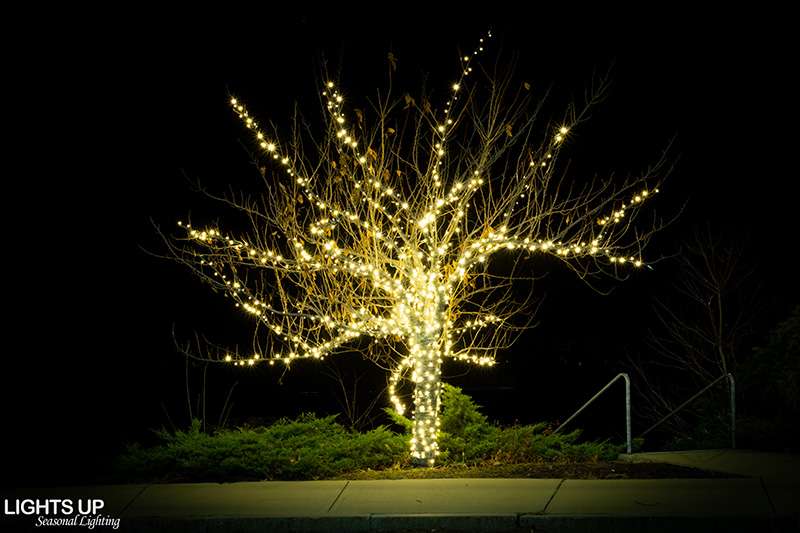 Derryfield commercial Christmas lights