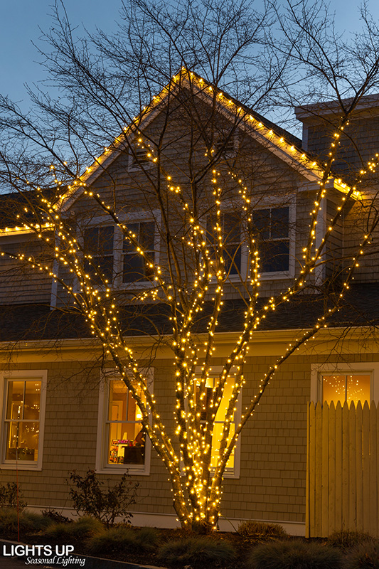 MCC commercial Christmas lights