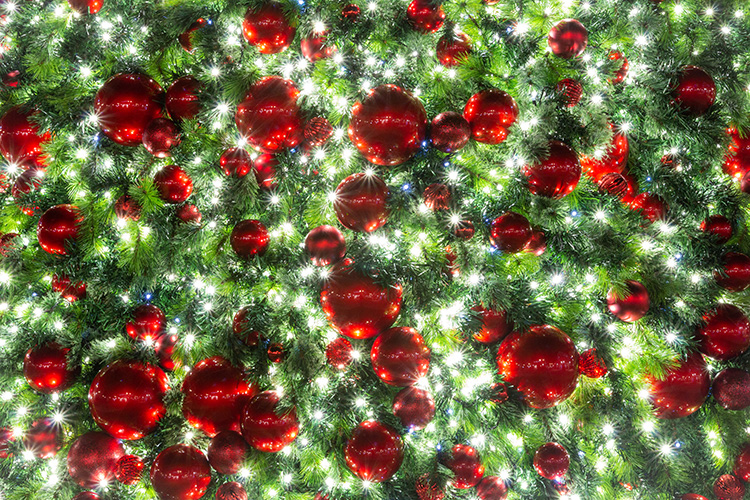 Commercial Christmas lighting MPO