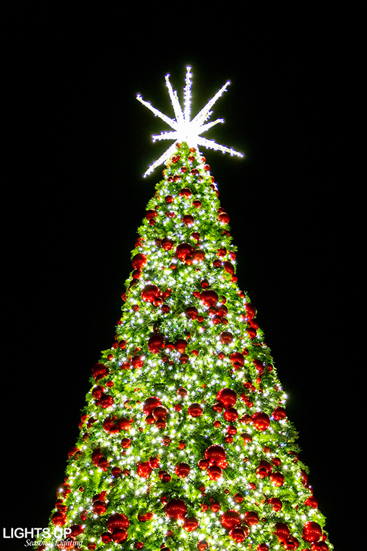 Commercial Christmas lighting MPO