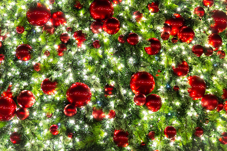 Commercial Christmas lighting MPO