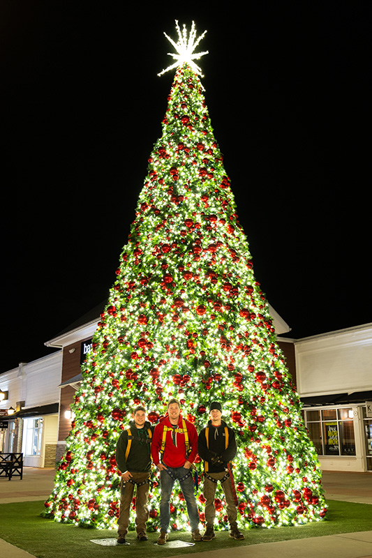 Commercial Christmas lighting MPO