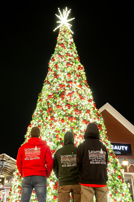 Commercial Christmas lighting MPO