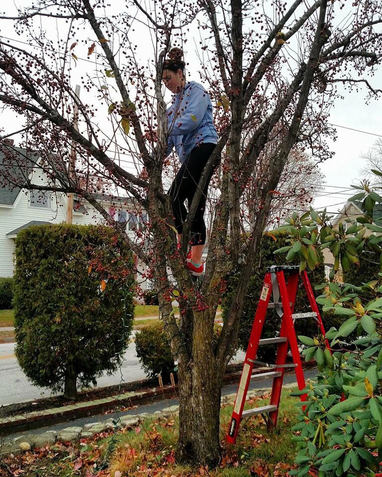 Lights Up crew installing holiday lights