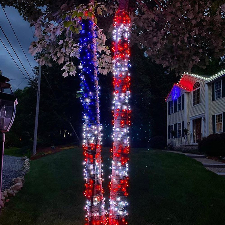 Fourth of July patriotic outdoor lighting