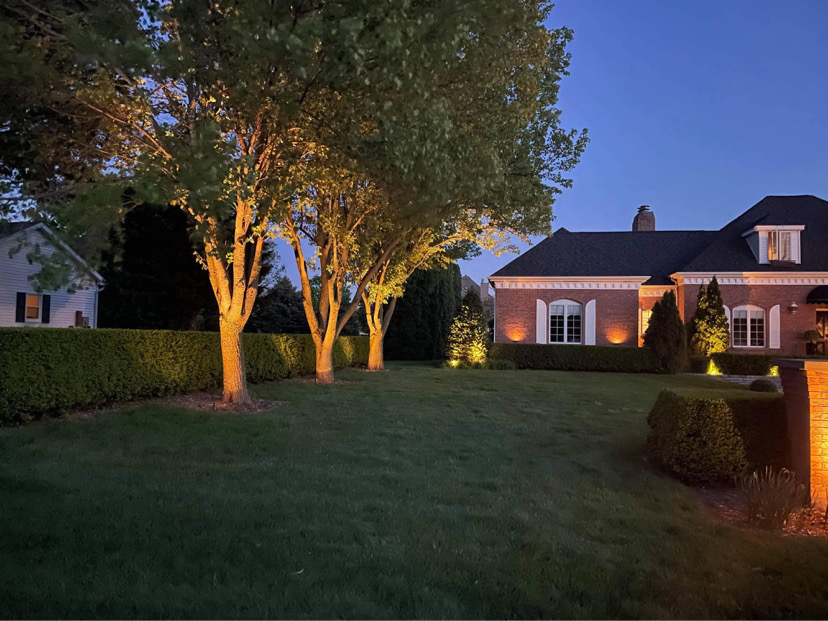 Outdoor landscape lighting at night