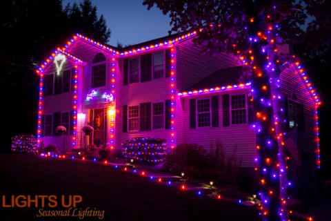 Lights Up national lighting